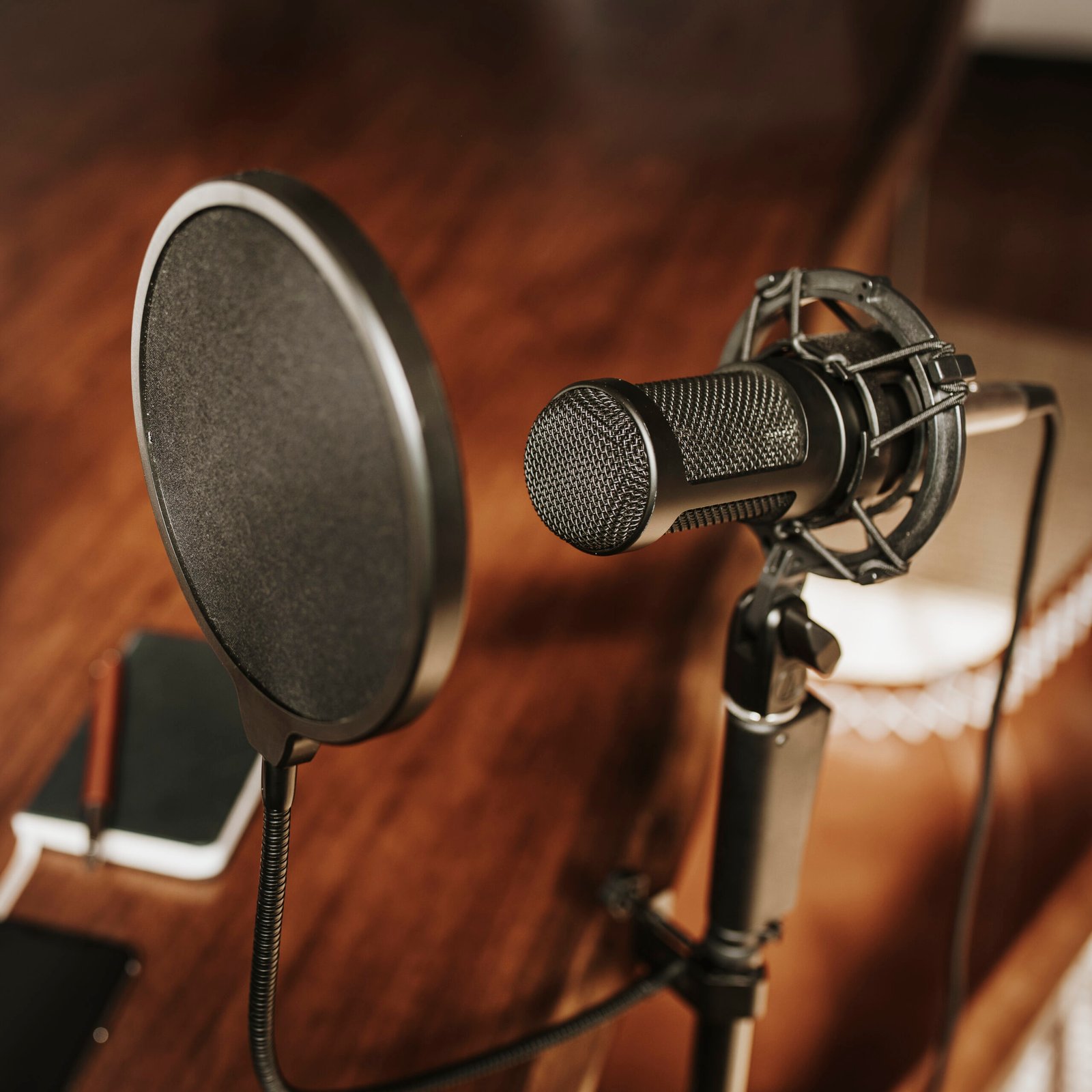 Professional condenser microphone with a pop filter in a studio